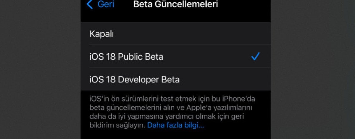 iOS 18 Public Beta Nasıl Yüklenir?