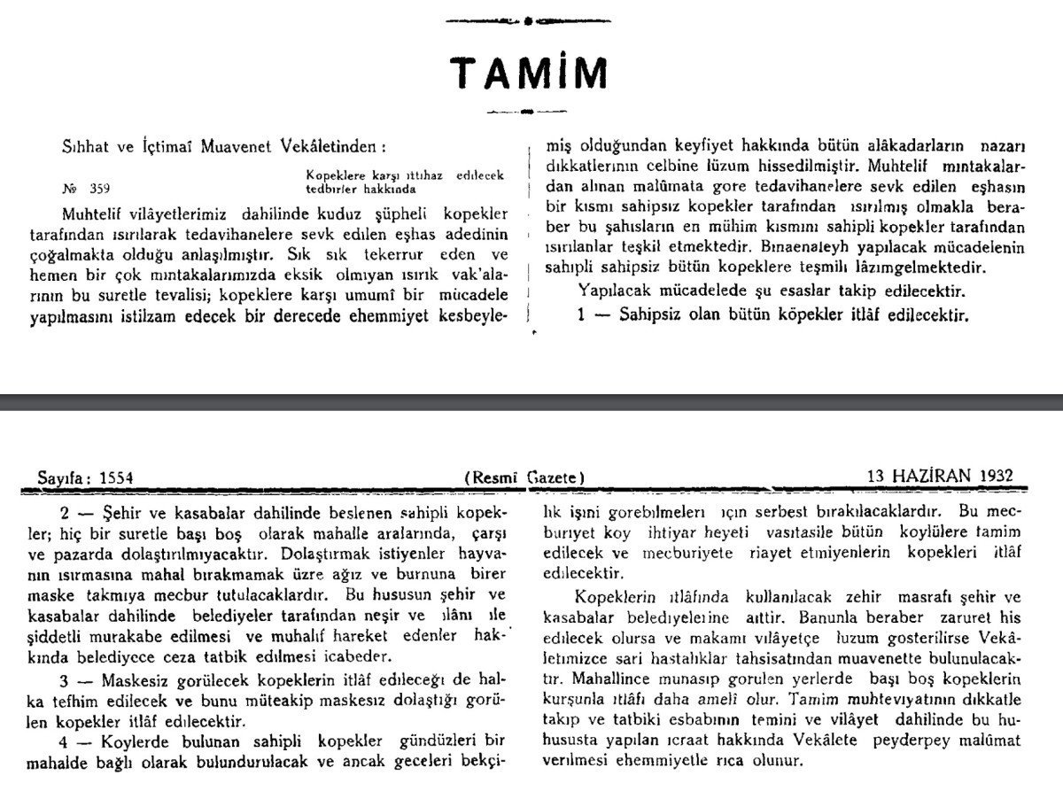 Başıboş Sokak Köpekleri ve Toplum Üzerindeki Etkileri