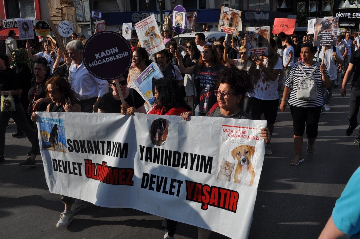 Toplum İkiye Bölündü: Olumlu Karşılayanlar ve Protesto Edenler