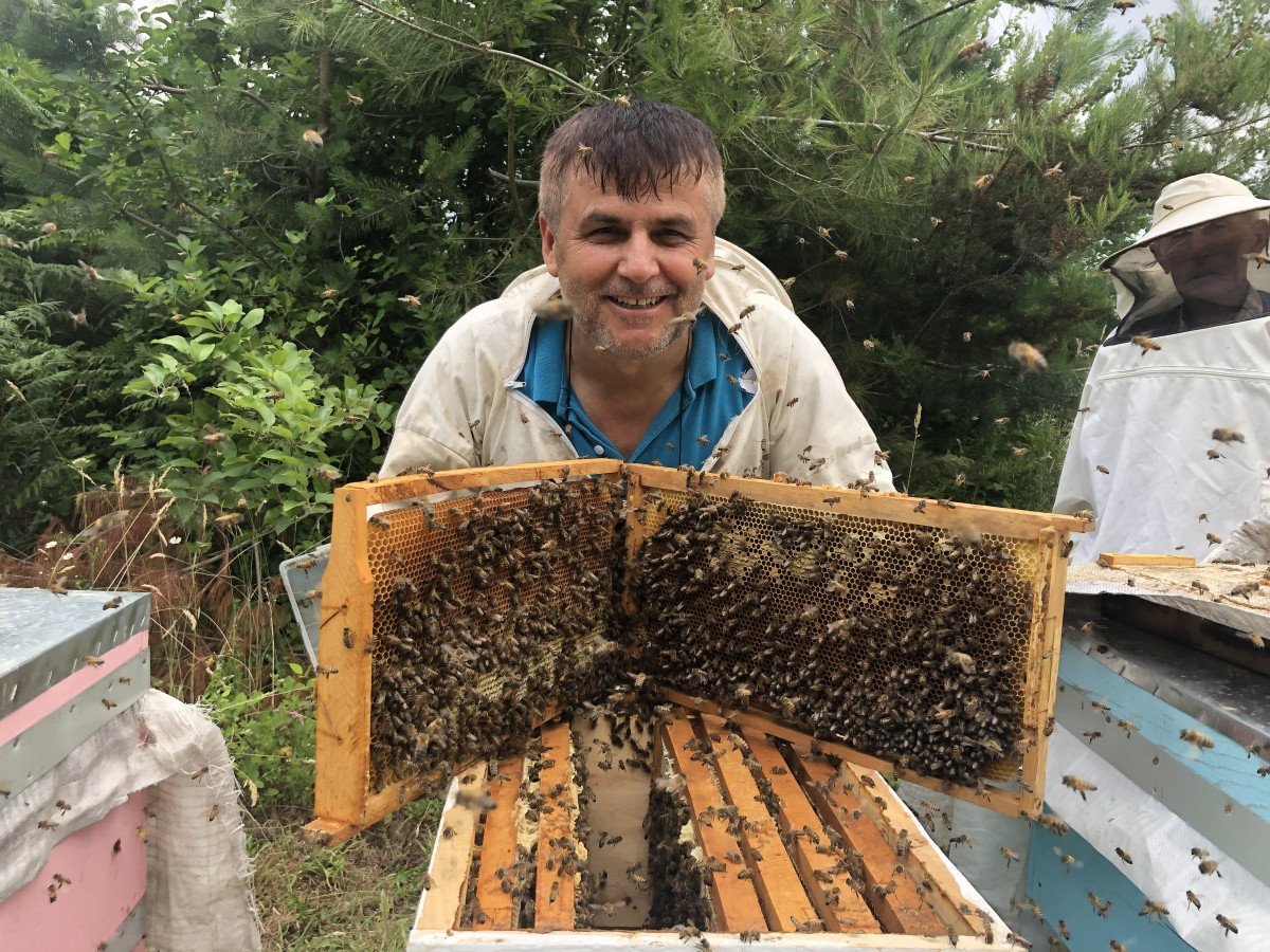 Kastamonu Kestane Balında Rekolte Düşüşü ve Mücadele Çabaları