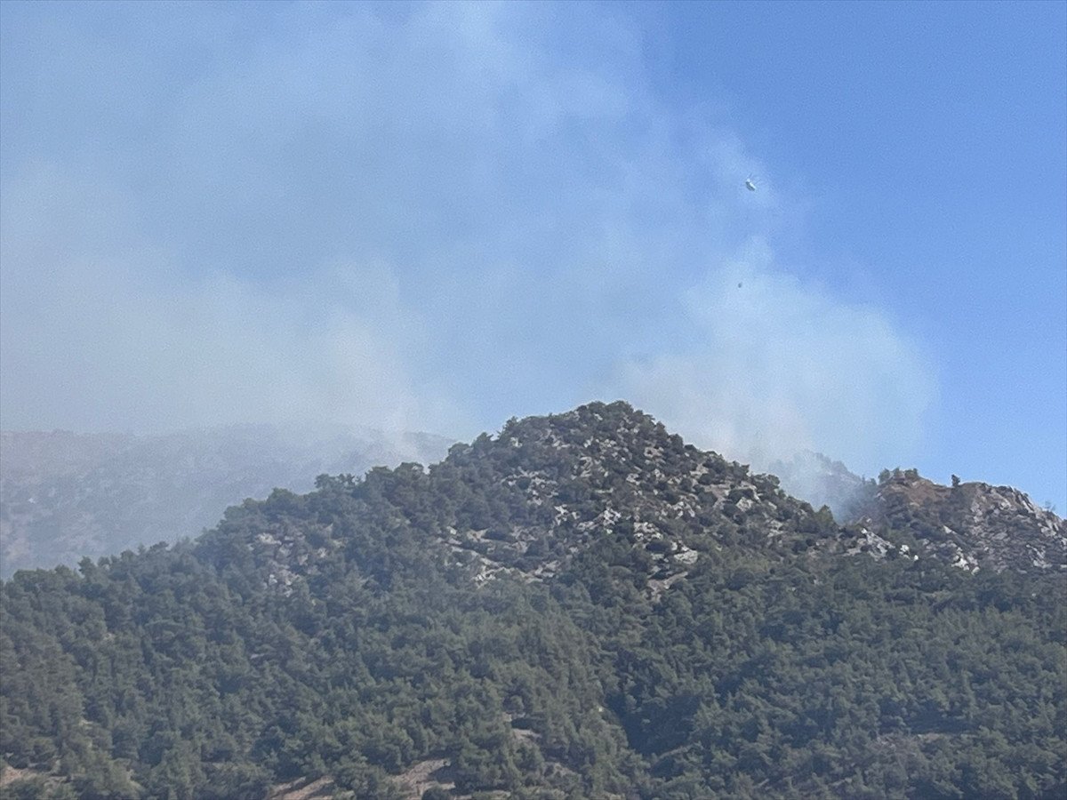 Muğla'nın Milas İlçesinde Yangın Çıktı