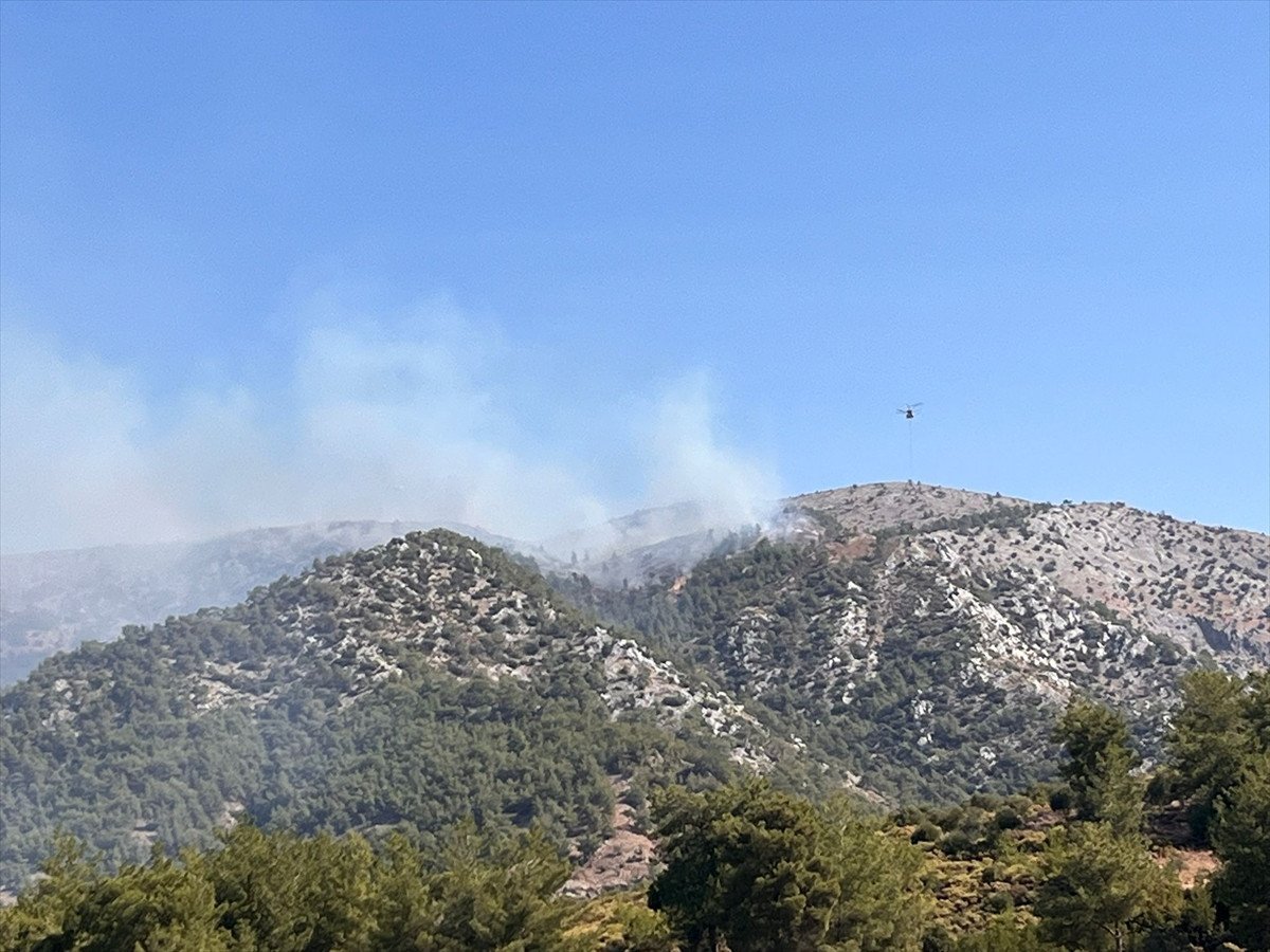 Muğla'nın Milas İlçesinde Yangın Çıktı