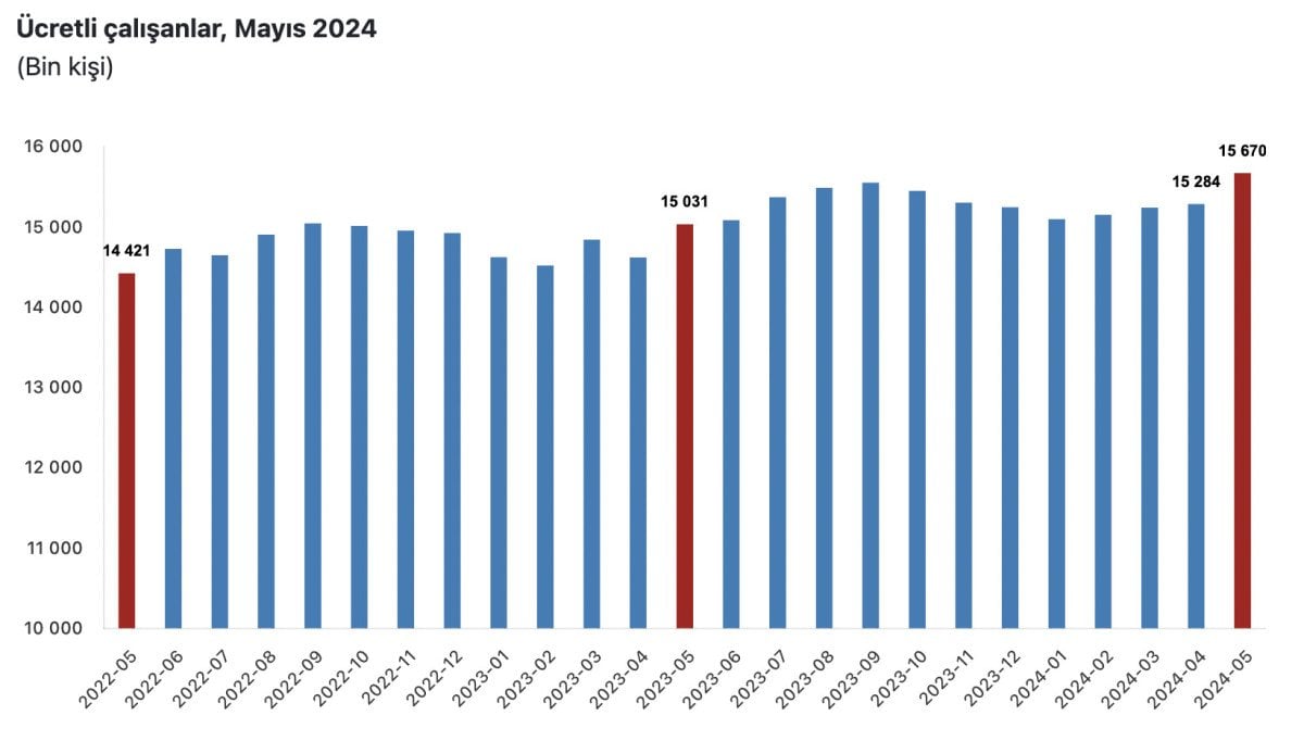 TÜİK Tarafından Yayınlanan Ücretli Çalışan İstatistikleri