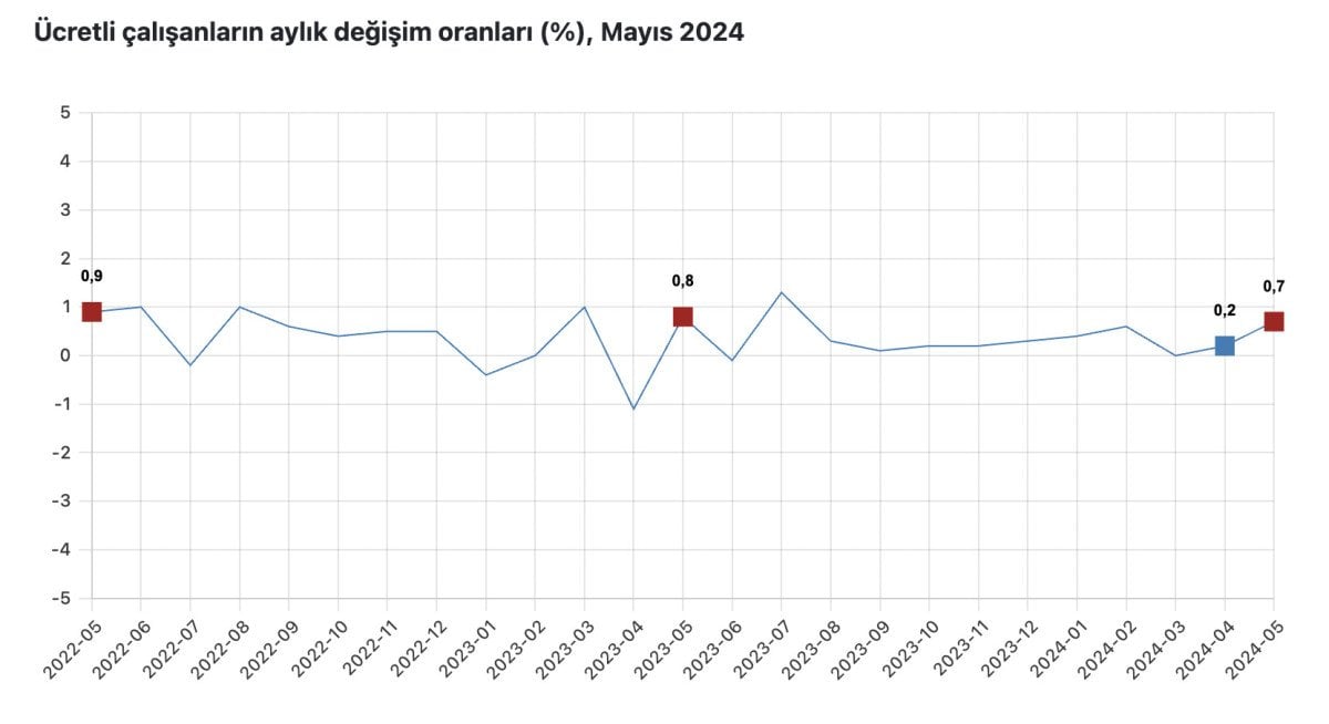 TÜİK Tarafından Yayınlanan Ücretli Çalışan İstatistikleri - Mayıs 2024