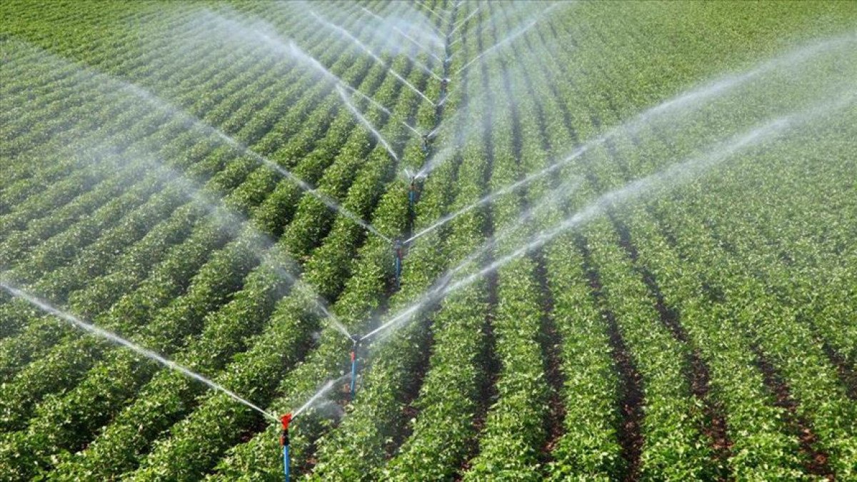 Saatlik Bazda En Yüksek Tüketim 15.00'te Gerçekleşti