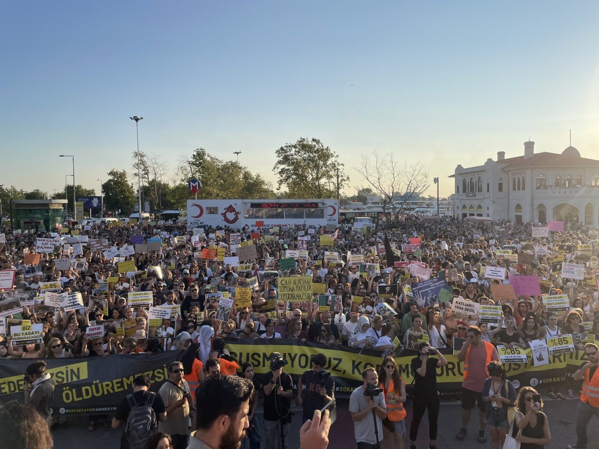 Türkiye Sokak Köpekleri Sorununa Çözüm Arıyor