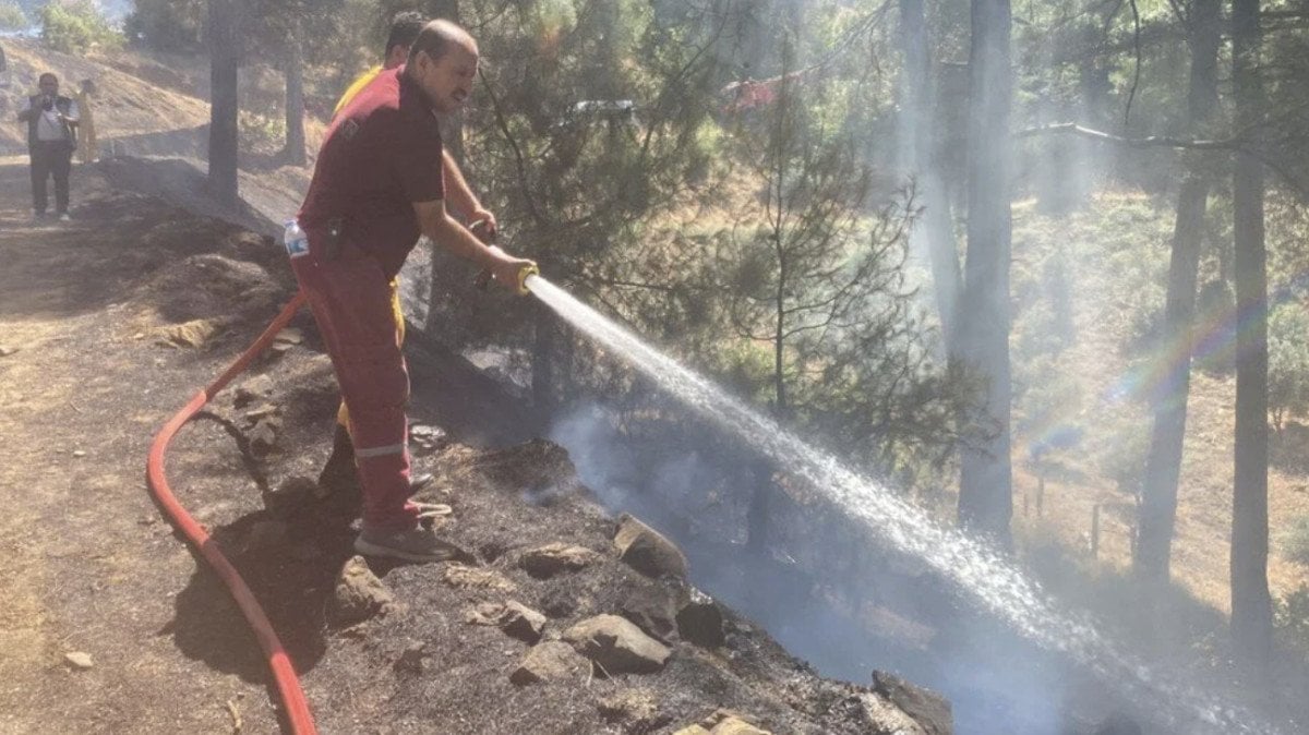 Yurt Genelinde Peş Peşe Orman Yangınları