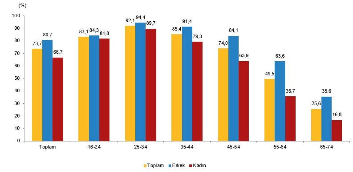 2024 Hanehalkı Bilişim Teknolojileri Kullanım Araştırması Sonuçları