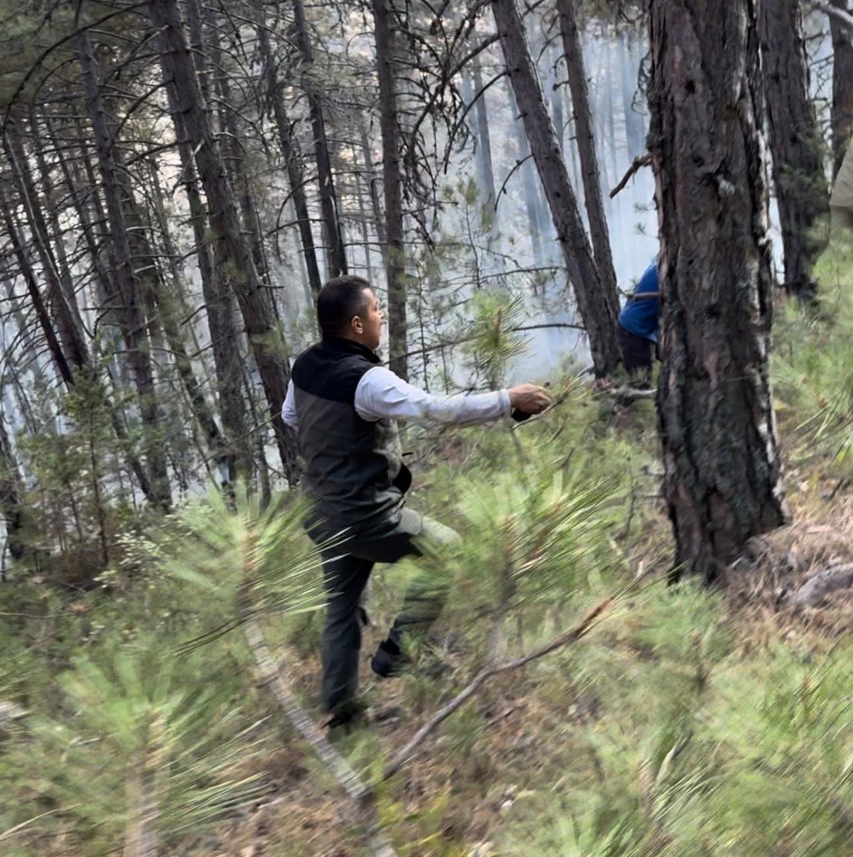 Bolu'daki Orman Yangını: Ekiplerin Zorlu Mücadelesi ve Hayatta Kalma Hikayesi