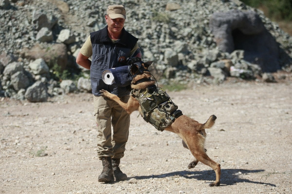 DHA: Askeri Köpeklerin Terörle Mücadeledeki Rolü ve Uzaktan Komuta Kontrol Sistemi