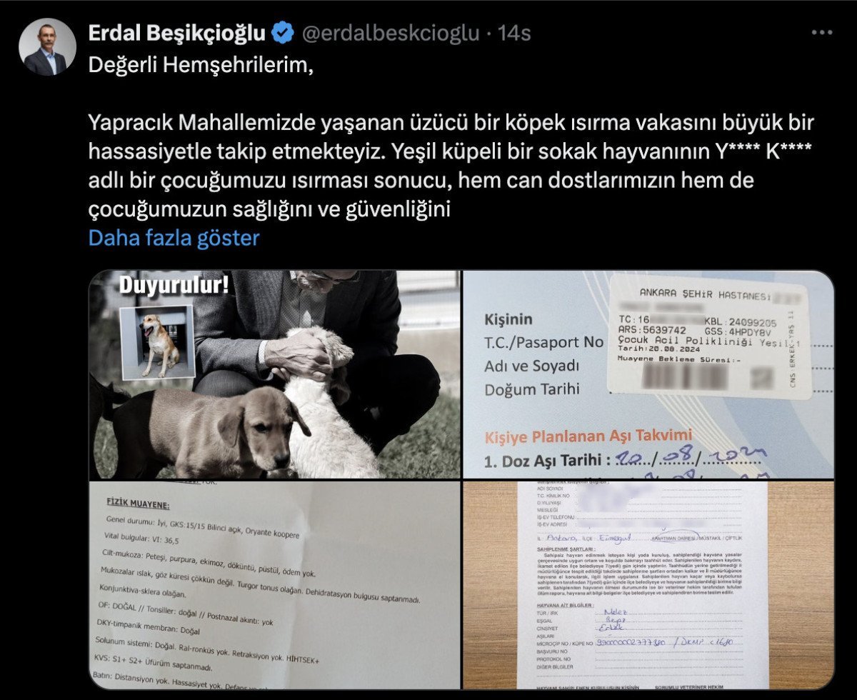 Etimesgut'ta Başka Bir Çocuğa Saldıran Başiboş Köpek Olayı