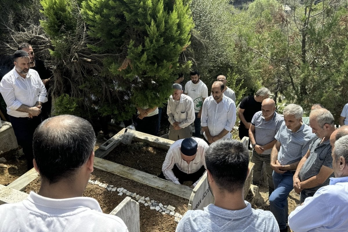 İstanbul'da Başıboş Köpek Saldırısı: Ayhan Özçelik Hayatını Kaybetti