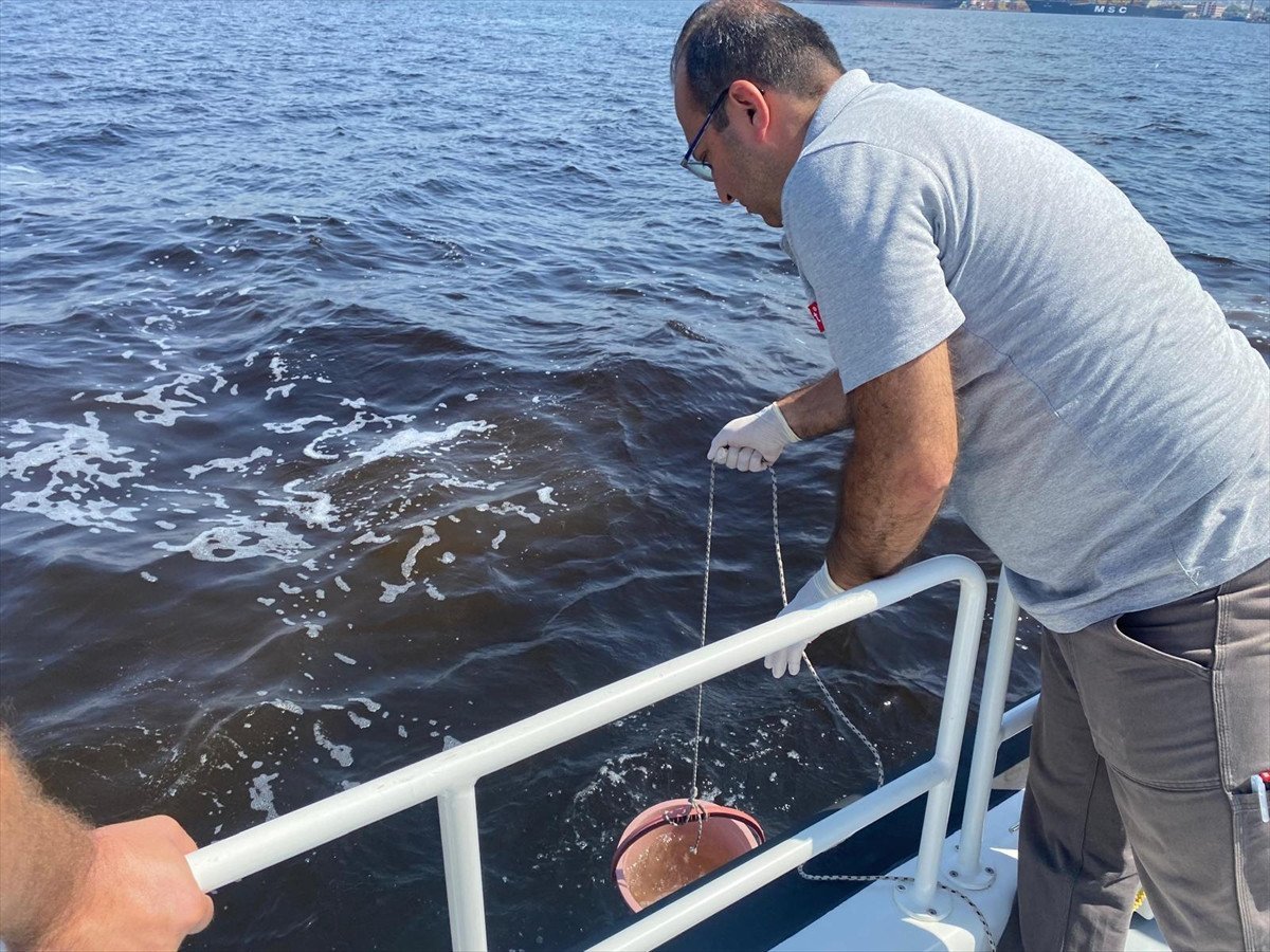 İzmir Körfezi'nde Kirlilik ve Balık Ölümleri