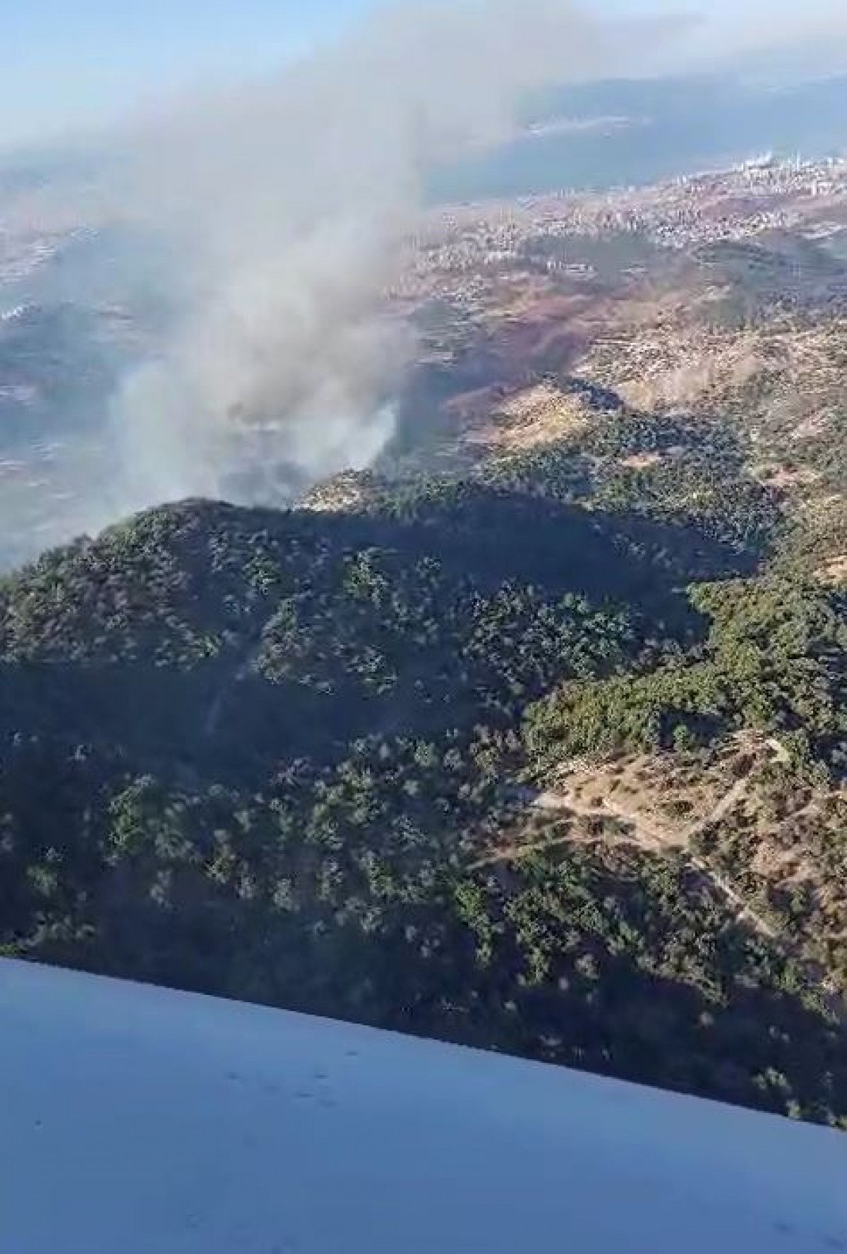 İzmir'de Yamanlar Dağı'nda Orman Yangını