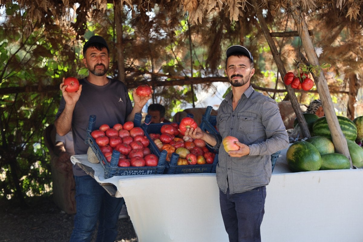 Kahramanmaraş'ın Bulanık Domatesi: Eşsiz Lezzet ve Doğal Yetiştirme Yöntemleri