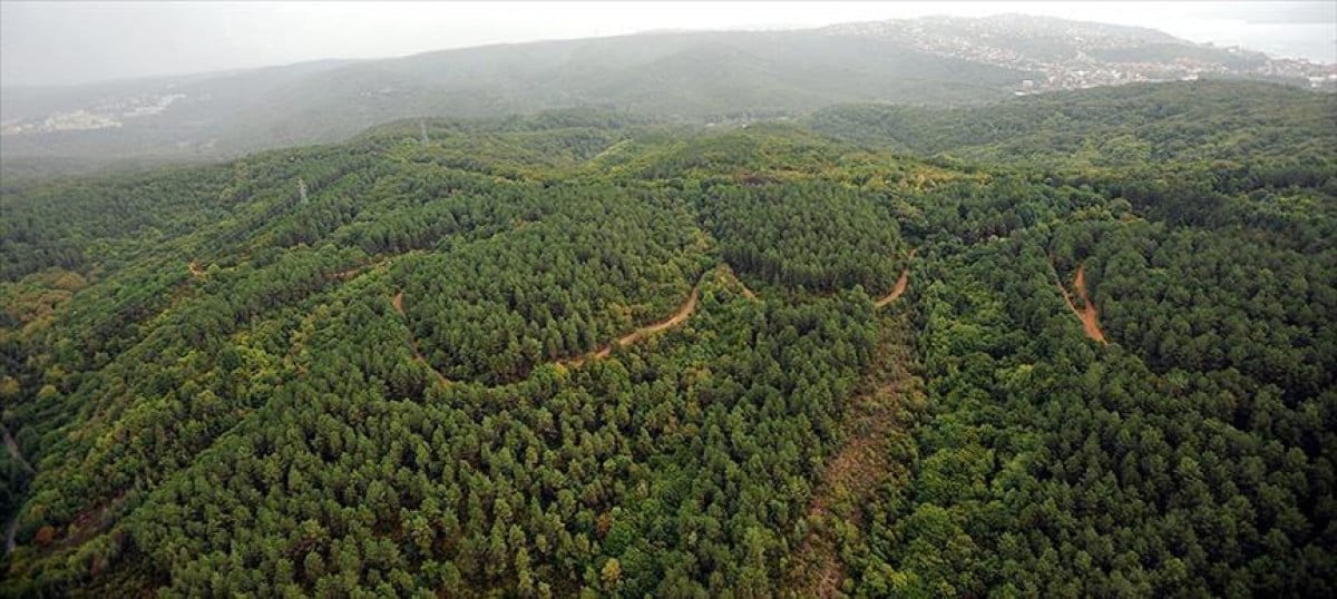 İnsan Faktörünün Yangınlara Etkisi