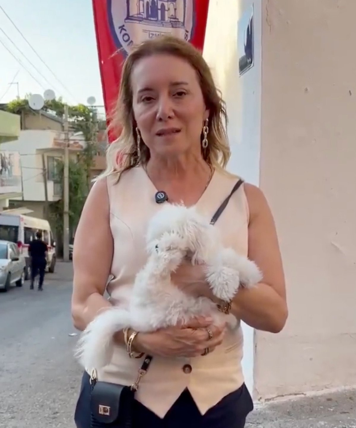 Sokak Köpekleri ile İlgili Yeni Düzenleme