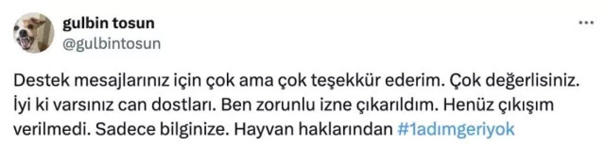 Sokak Köpekleri Üzerine Tartışmalar ve Gülbin Tosun'un Eleştirileri