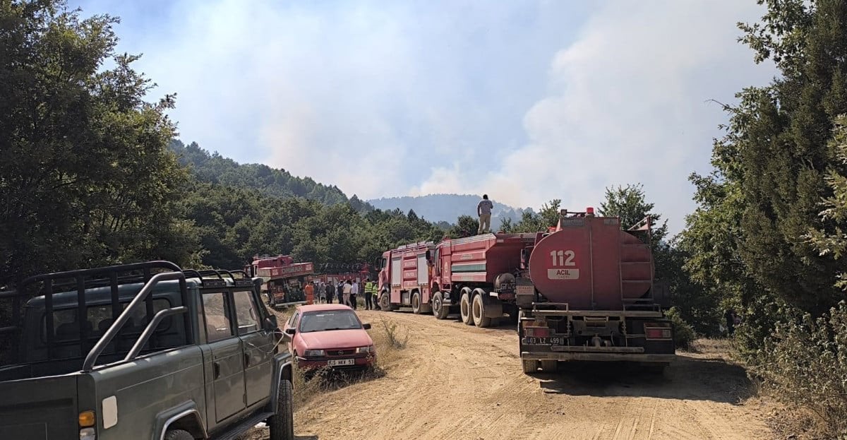 Türkiye'de Orman Yangınlarıyla Mücadele ve Kontrol Altına Alma Süreci