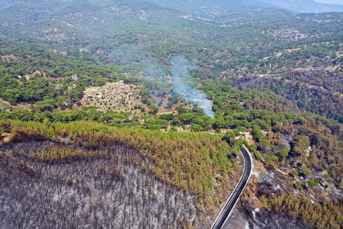 Türkiye'deki Orman Yangınlarıyla Mücadele: İzmir, Bolu ve Aydın'daki Durum