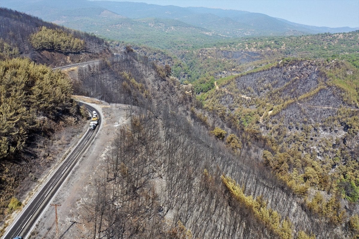 Türkiye'deki Orman Yangınlarıyla Mücadele: İzmir, Bolu ve Aydın'daki Durum