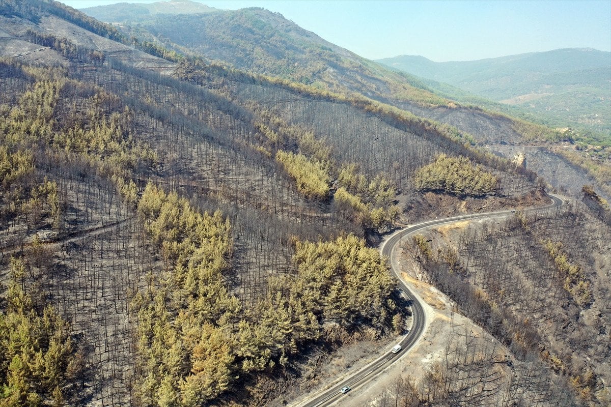 Türkiye'deki Orman Yangınlarıyla Mücadele: İzmir, Bolu ve Aydın'daki Durum