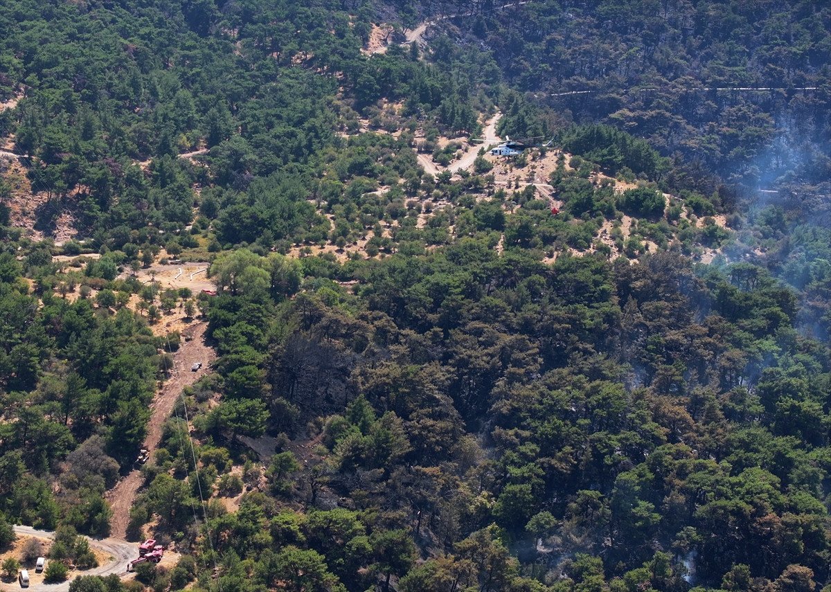 Türkiye'deki Orman Yangınlarıyla Mücadele: İzmir, Bolu ve Aydın'daki Durum