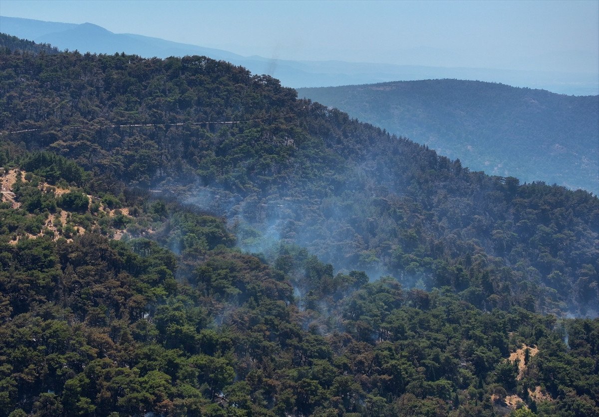 Türkiye'deki Orman Yangınlarıyla Mücadele: İzmir, Bolu ve Aydın'daki Durum