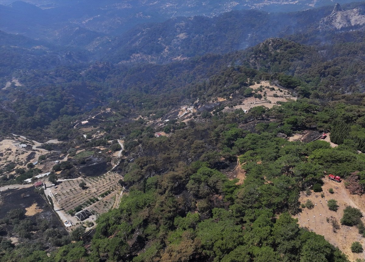 Türkiye'deki Orman Yangınlarıyla Mücadele: İzmir, Bolu ve Aydın'daki Durum