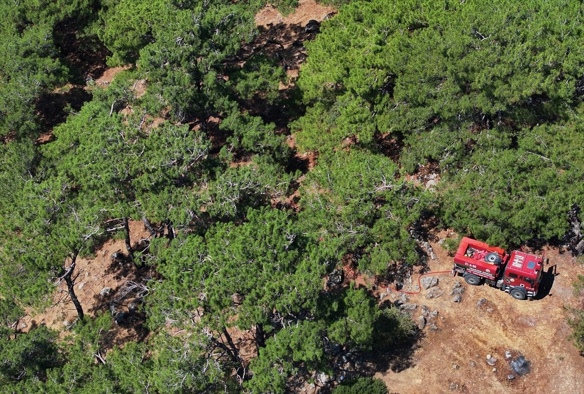 Türkiye'deki Orman Yangınlarıyla Mücadele: İzmir, Bolu ve Aydın'daki Durum