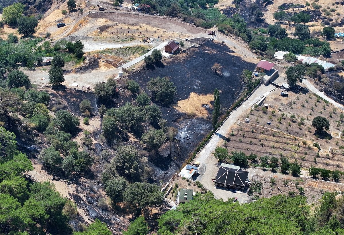 Türkiye'deki Orman Yangınlarıyla Mücadele: İzmir, Bolu ve Aydın'daki Durum