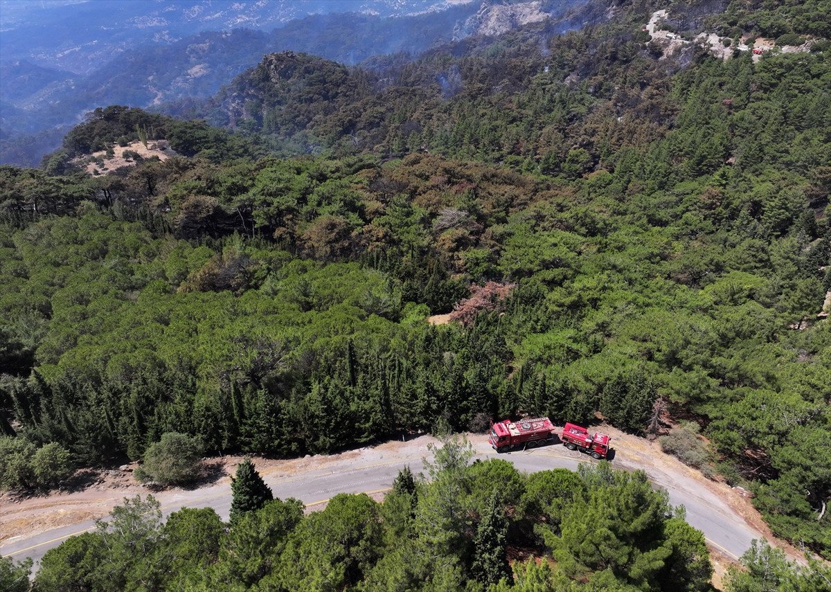 Türkiye'deki Orman Yangınlarıyla Mücadele: İzmir, Bolu ve Aydın'daki Durum