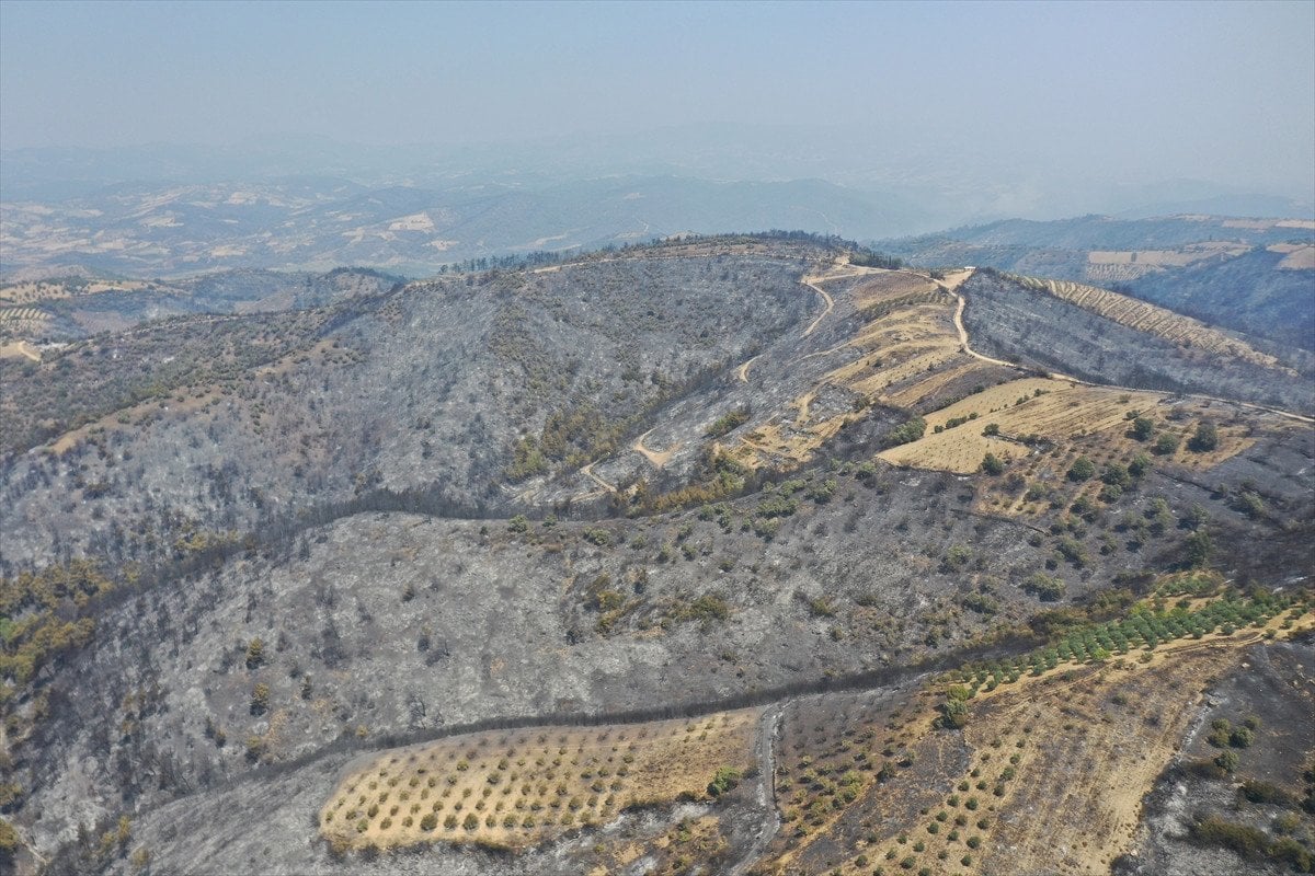 Türkiye'nin Orman Yangınlarıyla Mücadelesi Devam Ediyor