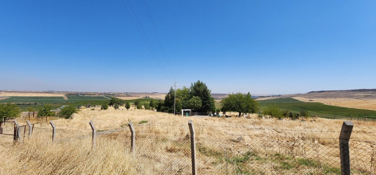 Diyarbakır'da Kayıp 8 Yaşındaki Narin Güran'ın Arama Çalışmaları Devam Ediyor